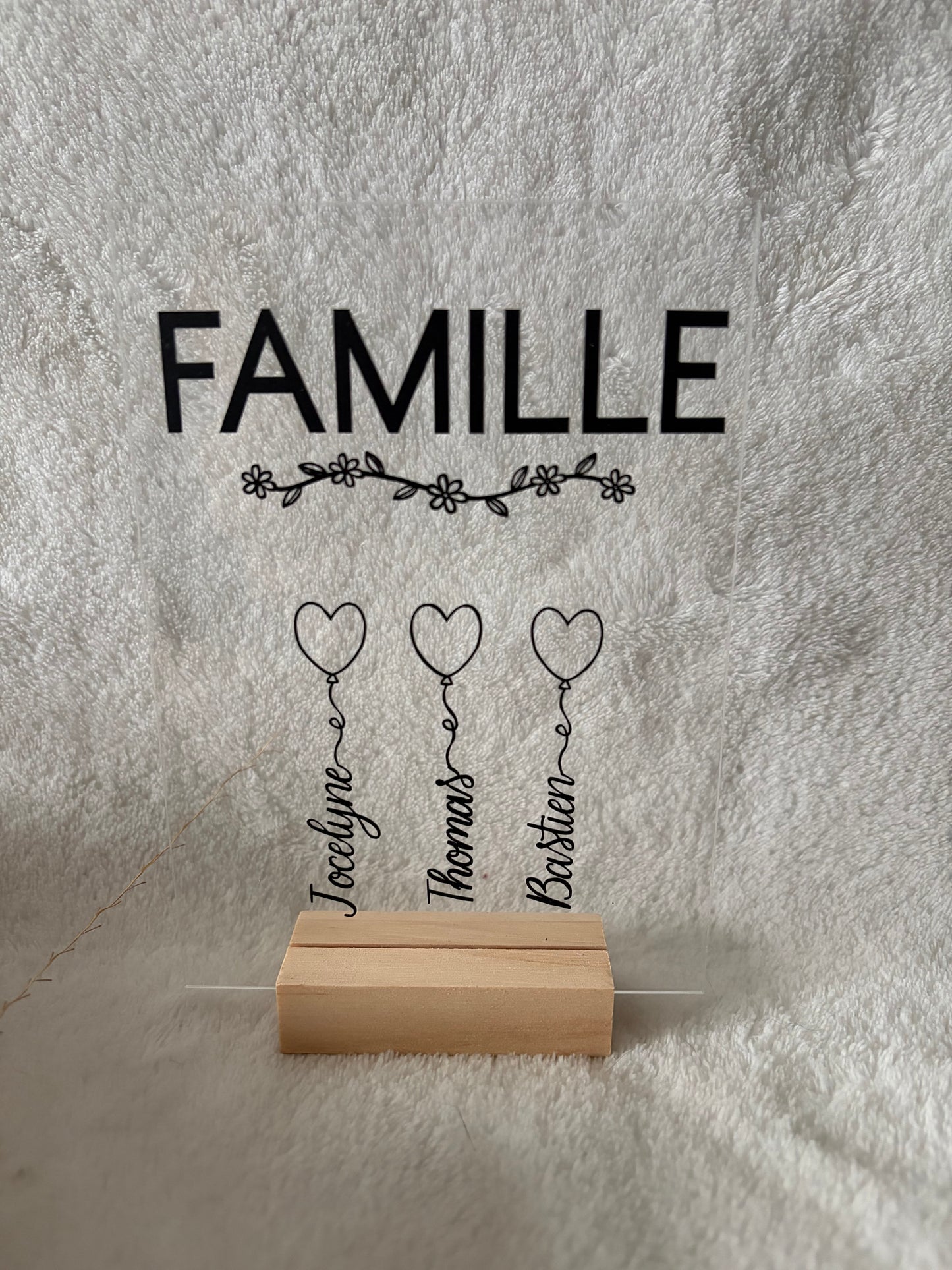 Plexi - Famille